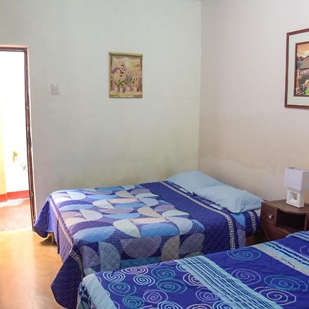 Brabant Hostal Nazca Ngoại thất bức ảnh