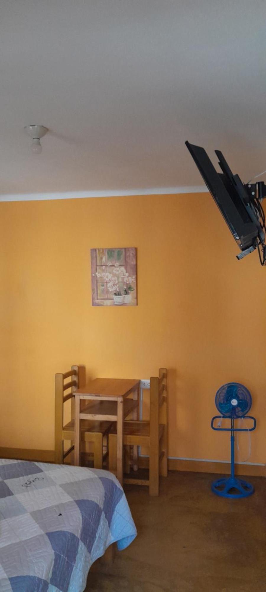 Brabant Hostal Nazca Ngoại thất bức ảnh